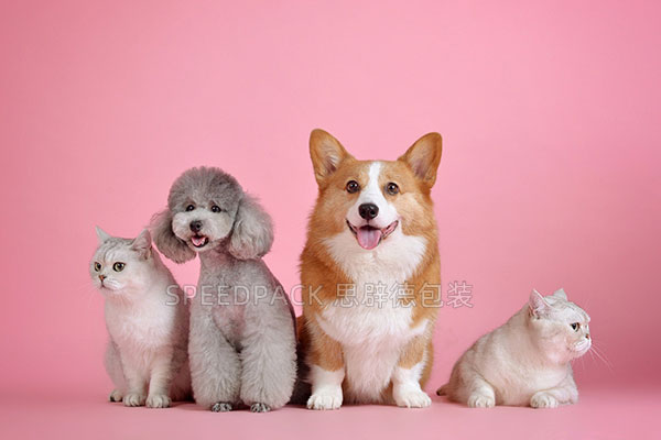 Future Consumption Trends in China's Pet Industry
